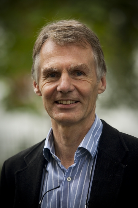 Geir Ulfstein. Foto: UiO.