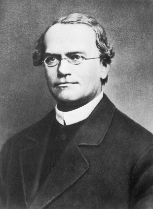 Greorg Mendel