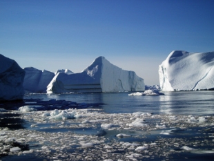 Foto:WWF/ Flickr
