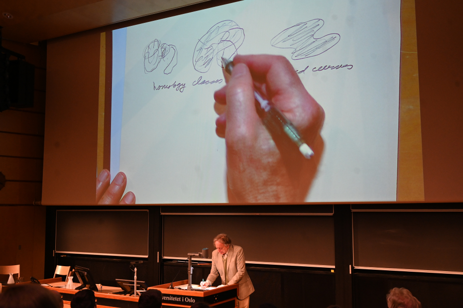 Dennis Sullivan foreleser under Abelforelesningene (Foto: Ola Gamst Sæther)