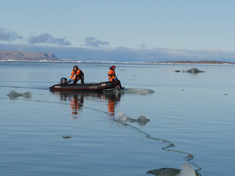 VISTA-stipendiat Chairmain Hamilton (t.h.) driver feltarbeid på Svalbard.