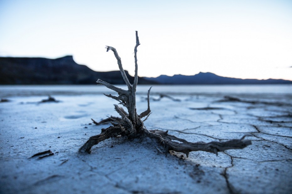 Klimaendringer