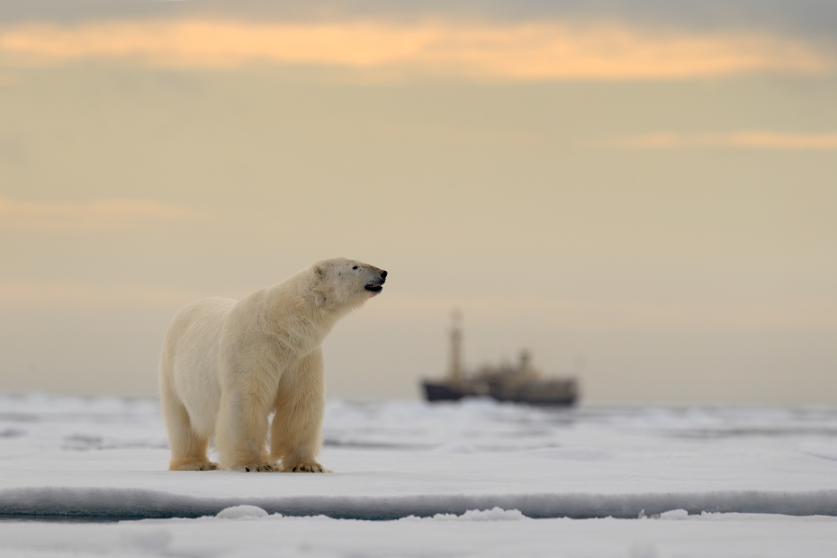 Foto: Shutterstock.com